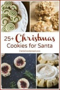 25+ Christmas Cookies for Santa